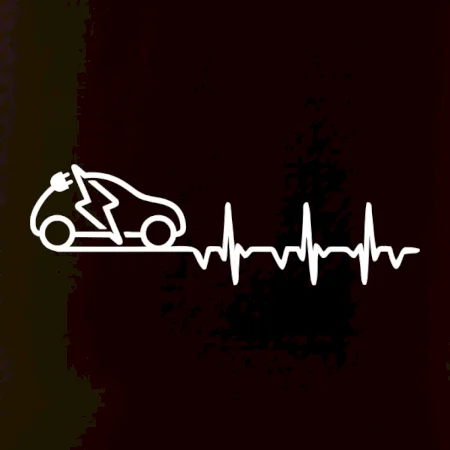 Ekg elektromobil