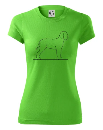 Lagotto romagnolo stojaci
