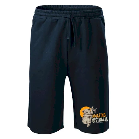 Amazing Australia koala