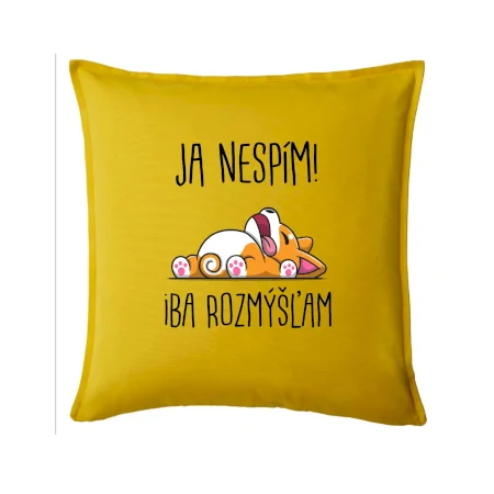 Ja nespím, iba rozmýšľam SK
