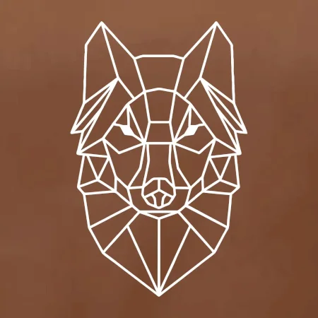 Geometria - vlk