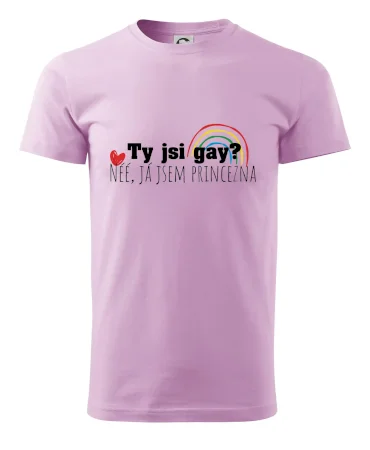 Gay princezna