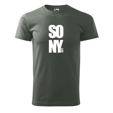 SO NY city