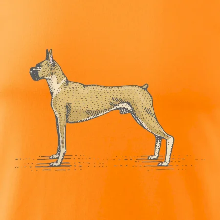 Vintage Boxer