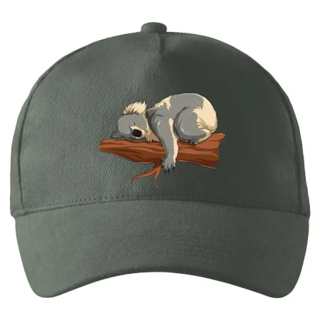 Koala na vetve