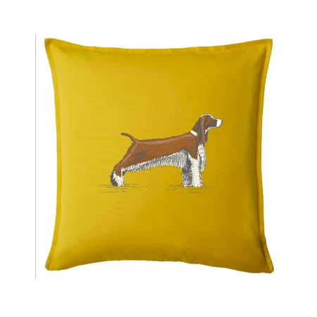 Vintage Springer spaniel