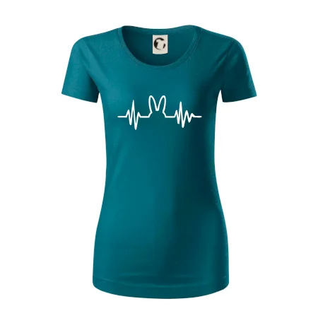 EKG zajac