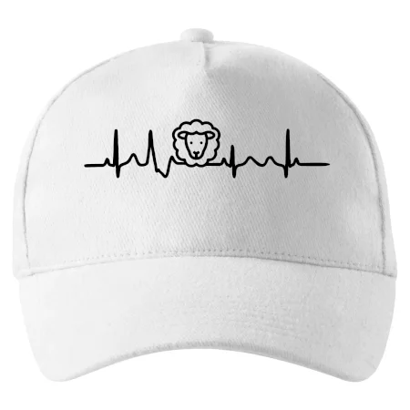Ekg ovce