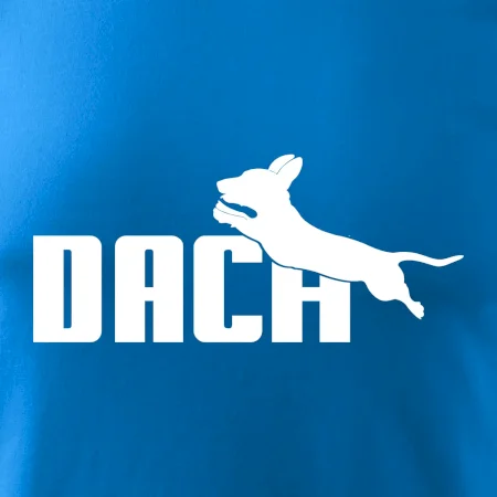 Jazvečík Dach