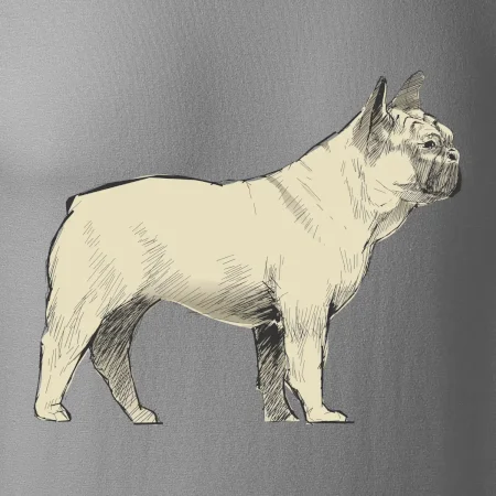 Vintage French bulldog
