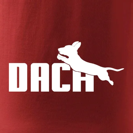 Jazvečík Dach