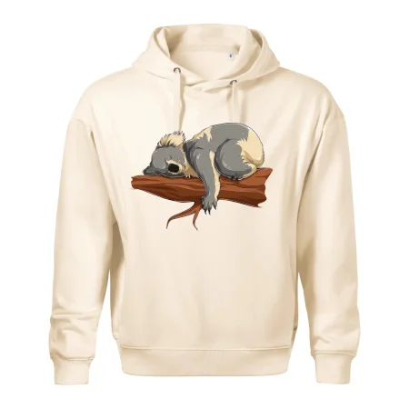 Koala na vetve
