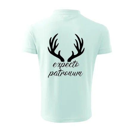 Harry - Expecto patronum