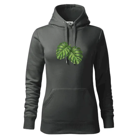 Monstera - dva listy