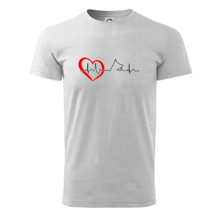 Nemecký ovčiak ekg