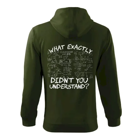 What exactly didn't you understand - physics