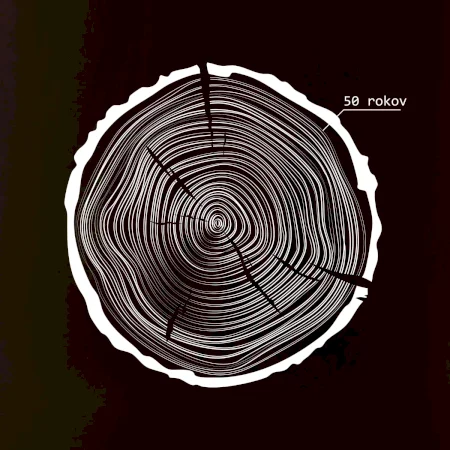 50 rokov - Letokruhy
