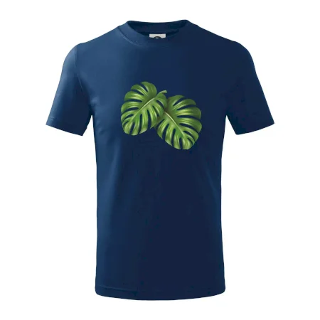 Monstera - dva listy