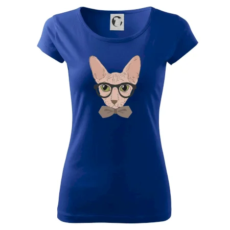 Hipster sphynx