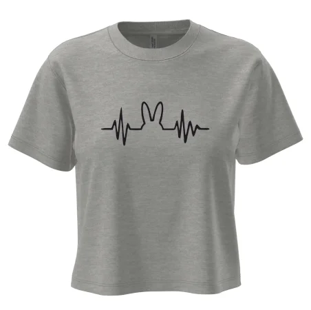 EKG zajac