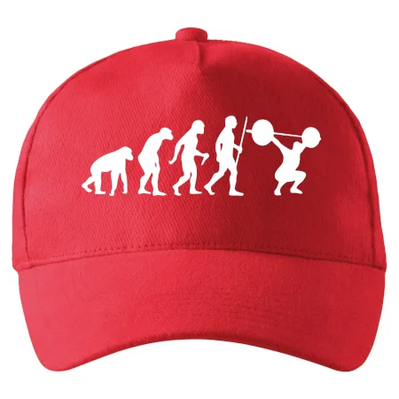 Evolution fitness