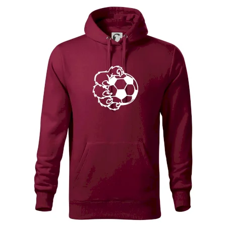 Medvedia laba futbal