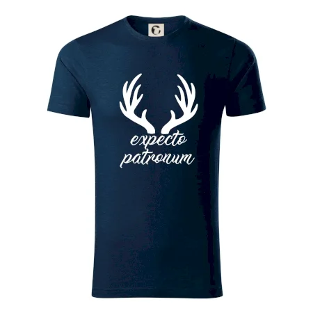 Harry - Expecto patronum