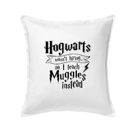 Harry - Hogwarts wasn’t hiring, so I teach Muggles instead