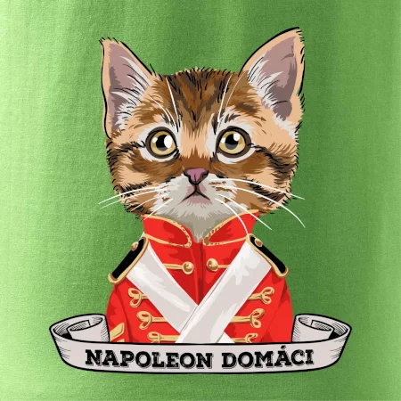 Napoleon domáci mačka