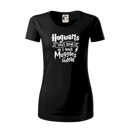 Harry - Hogwarts wasn’t hiring, so I teach Muggles instead