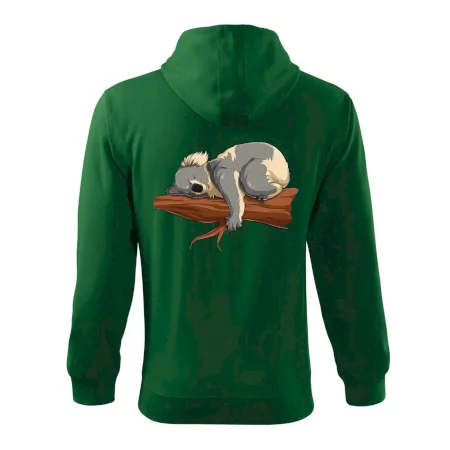 Koala na vetve