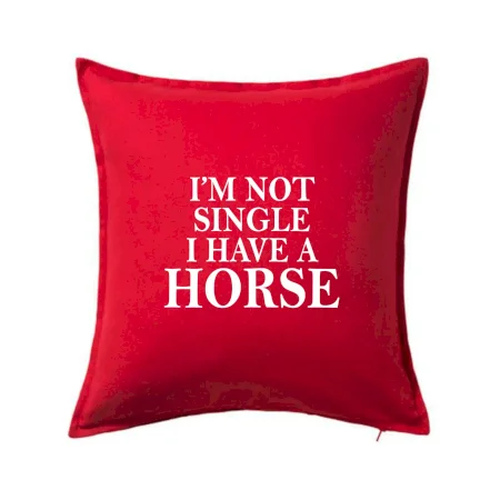 I have a horse
