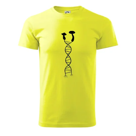 DNA huby