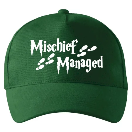 Harry - Mischief Managed