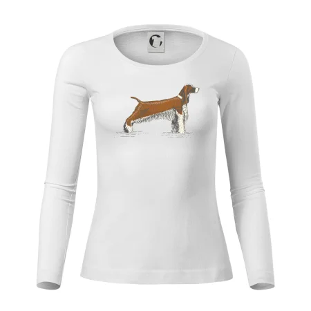 Vintage Springer spaniel