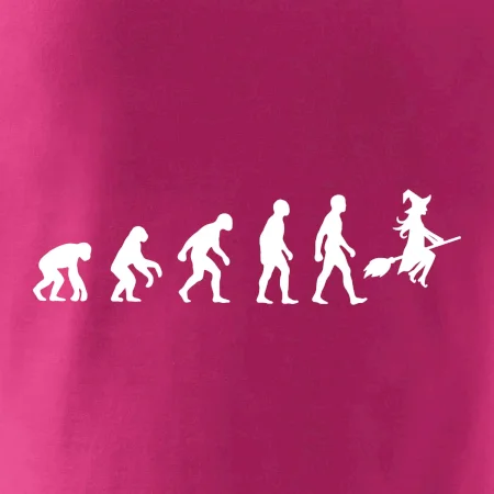 Evolúcia čarodejnice