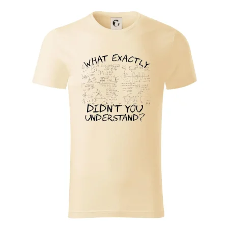 What exactly didn't you understand - physics