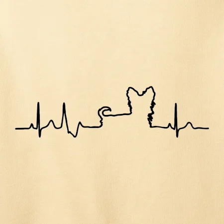 Yorkshirský teriér EKG