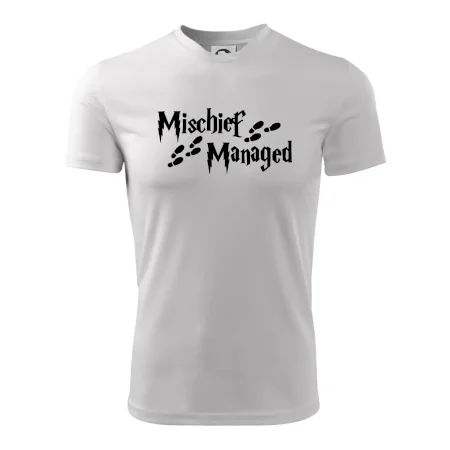 Harry - Mischief Managed