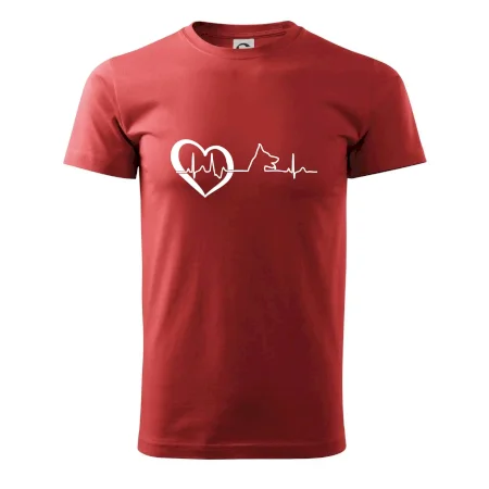 Nemecký ovčiak ekg