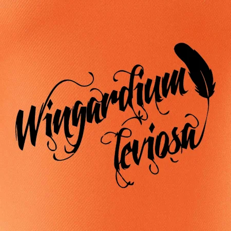 Harry - Wingardium Leviosa