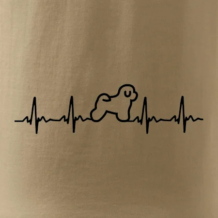 Bišónik ekg
