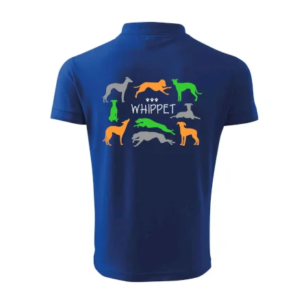 Whippet farebný