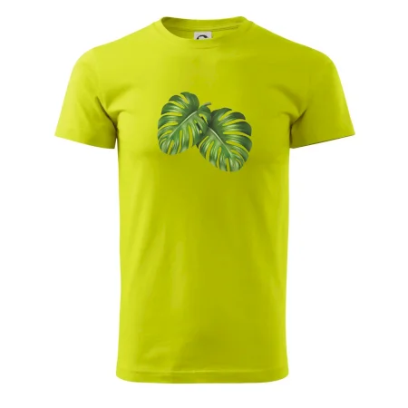 Monstera - dva listy