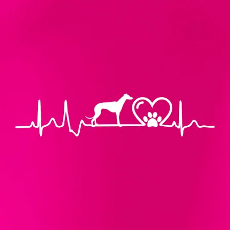 Chrt - Ekg