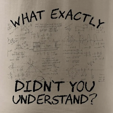 What exactly didn't you understand - physics