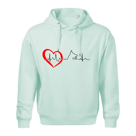 Nemecký ovčiak ekg