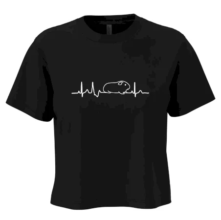 EKG morča