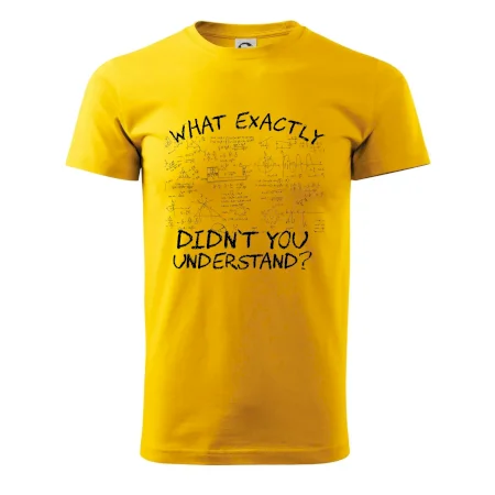 What exactly didn't you understand - physics
