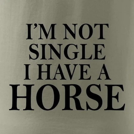 I have a horse